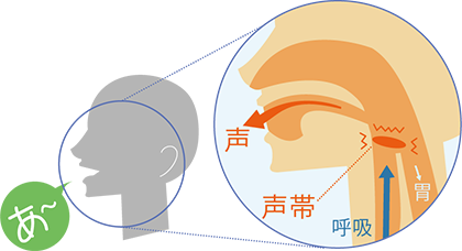 声が出る仕組み